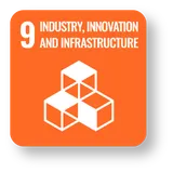 SDG 9 icon