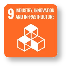 SDG 9 icon