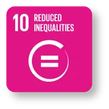 SDG 10 icon