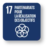 SDG 17 icon
