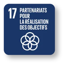 SDG 17 icon